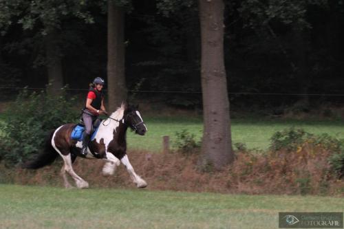 men en ruiter dag 3 foto clemens brughuis (80)