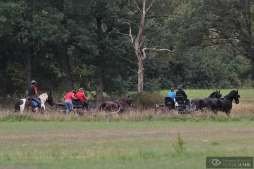 men en ruiter dag 3 foto clemens brughuis (85)