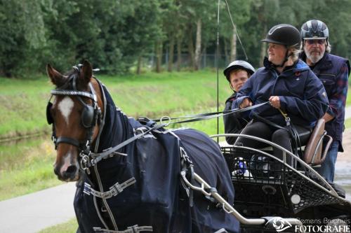 men en ruiterdagen1 foto clemens brughuis (42)